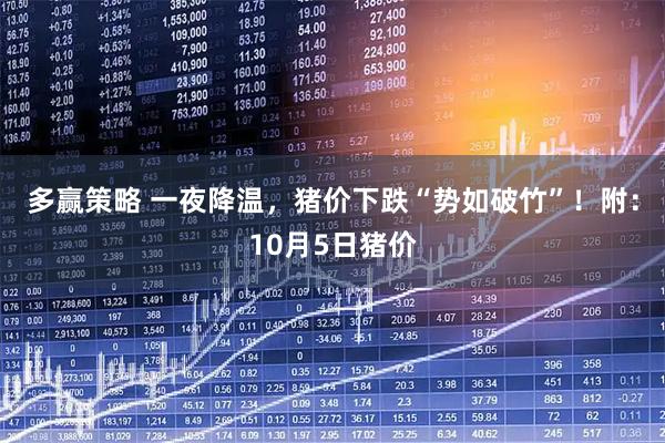 多赢策略 一夜降温，猪价下跌“势如破竹”！附：10月5日猪价