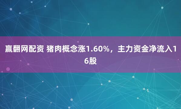 赢翻网配资 猪肉概念涨1.60%，主力资金净流入16股