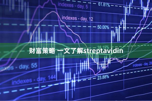 财富策略 一文了解streptavidin