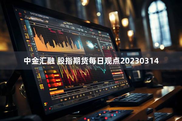 中金汇融 股指期货每日观点20230314