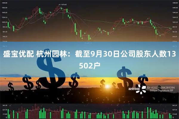 盛宝优配 杭州园林：截至9月30日公司股东人数13502户